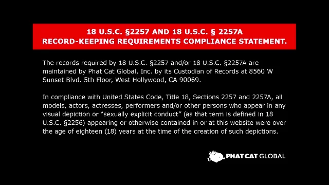 Preview of Heyzo Mai Shirakawa Beauty Collection Vol 115 XXX